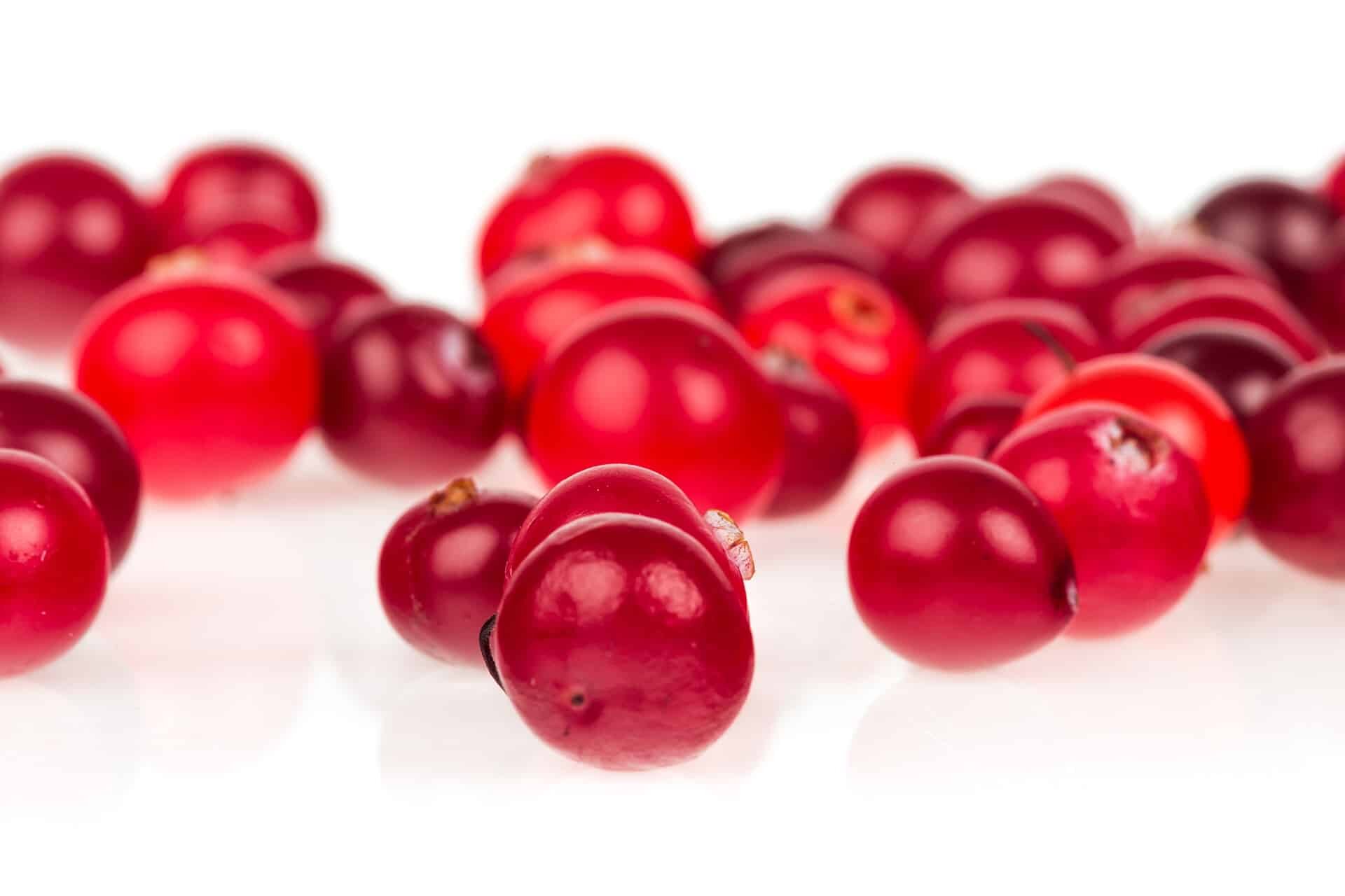 Cranberry fruits