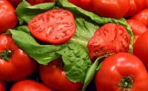 image of tomatoes